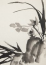Qi Baishi(1864-1957)Three Paintings - 11