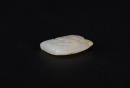 A Russet White Jade Carved &lsquo;Dragon&rsquo; Pendant. - 6