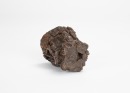 An Agarwood Carved &lsquo;Scholar Under Pine Tree&rsquo; Small Cup - 7