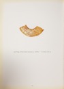 Western Zhou (c.1045BC - 771 BC) - 8