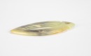Hongshan Culture (c.4700 - 2900 BC) - 6